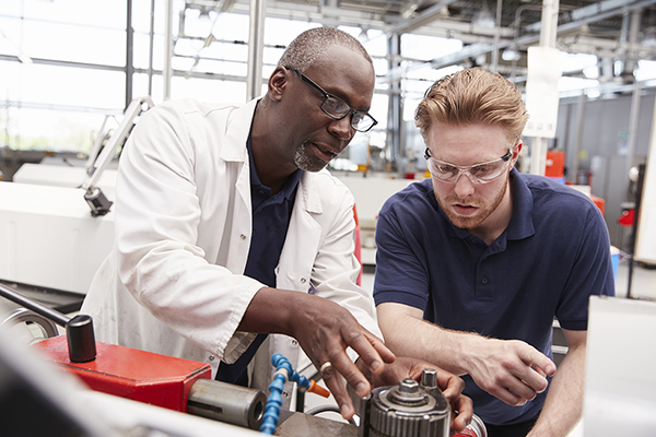 Category training image